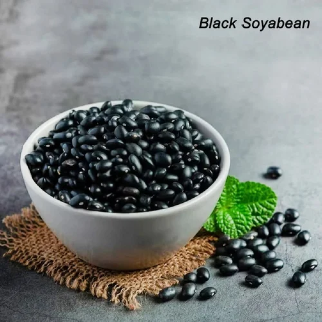 Block Soya Beens