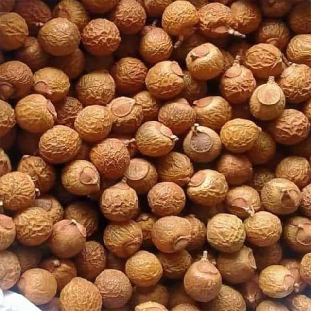 Kunkudulu (కుంకుడు కాయలు)